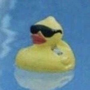 Meet your Posher, Edward